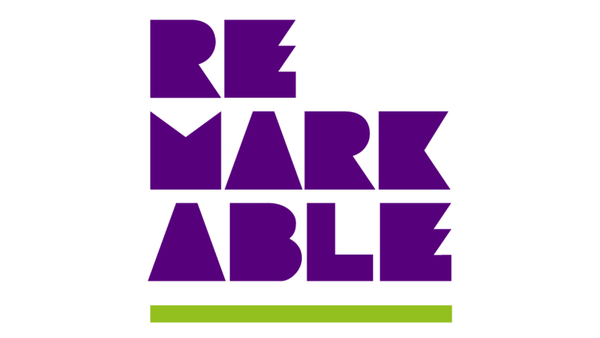 REMARKABLE Pre-ACCELLERATOR 2024